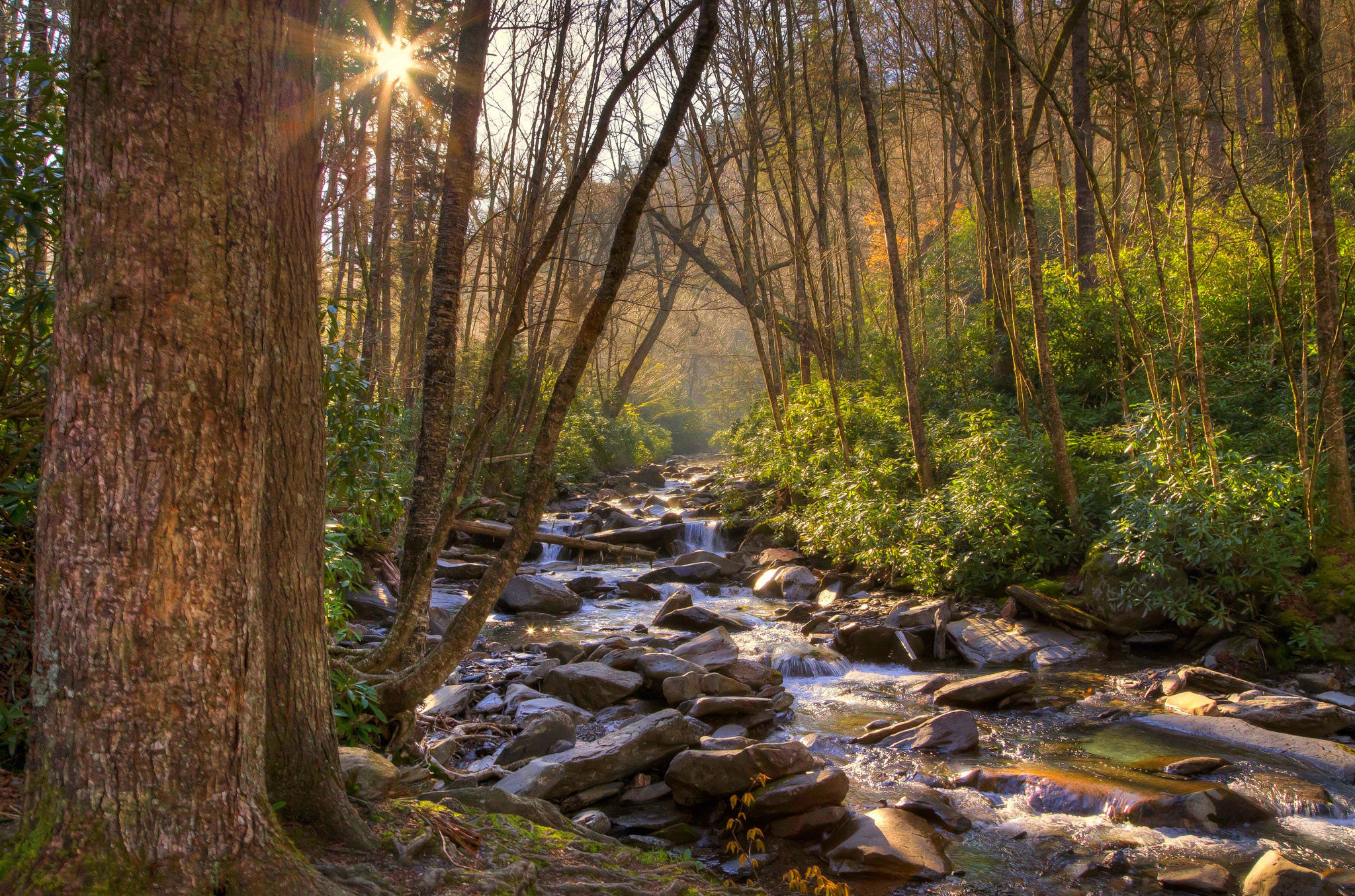 Great Smoky Mountains National park